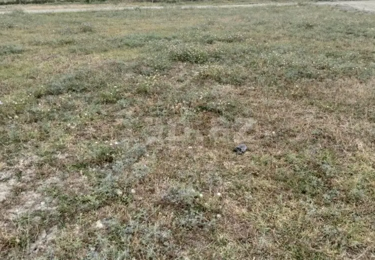 0 m² Obyekt / Ofis , Xaçmaz