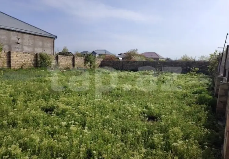 0 m² Obyekt / Ofis , Saray, Abşeron