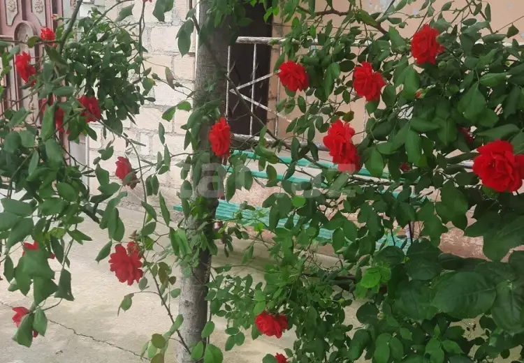 4 otaqlı mənzil , Şəmkir