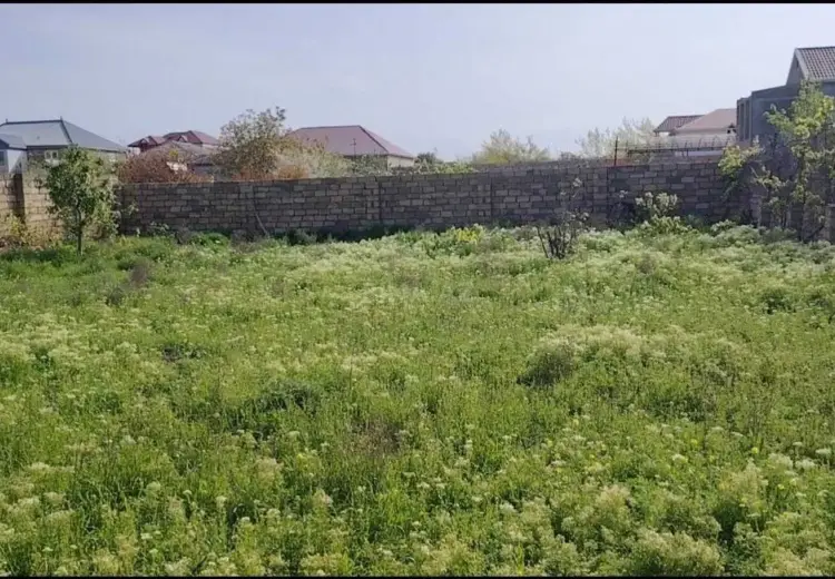 5 sot Torpaq Satılır, Saray, Abşeron