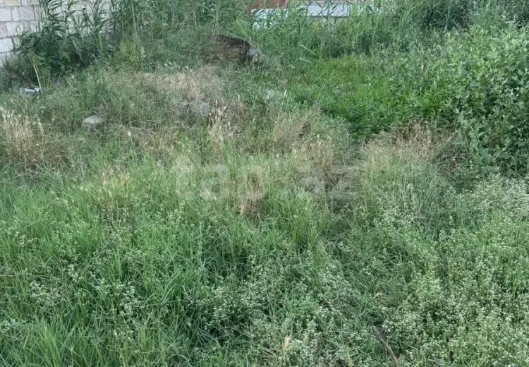 0 m² Obyekt / Ofis , Sumqayıt