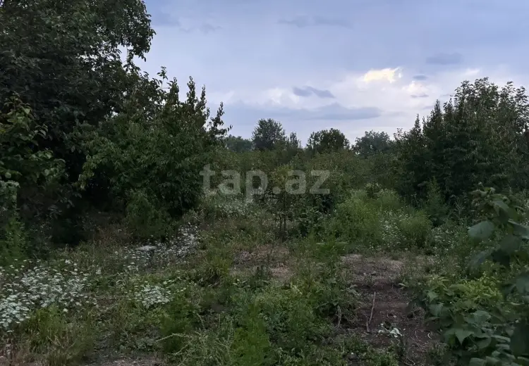 0 m² Obyekt / Ofis , Şəmkir