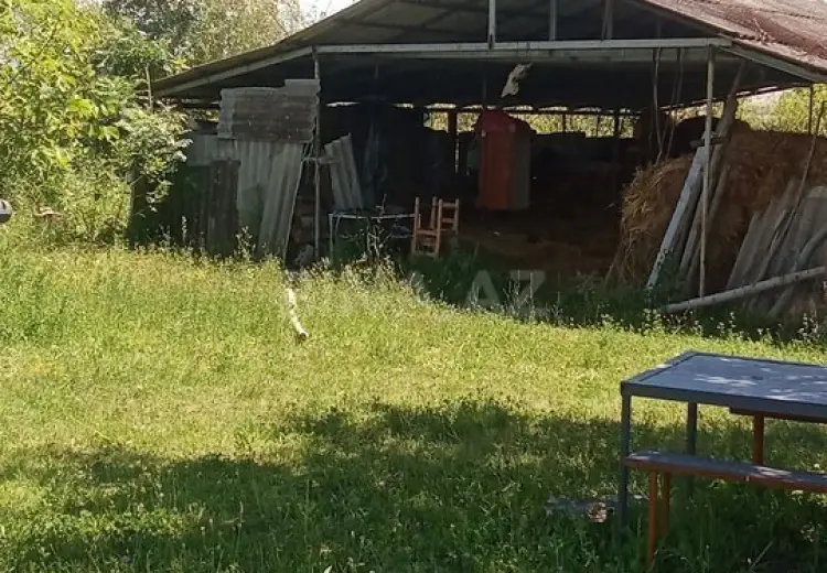 99 sot Torpaq Satılır, Şəki