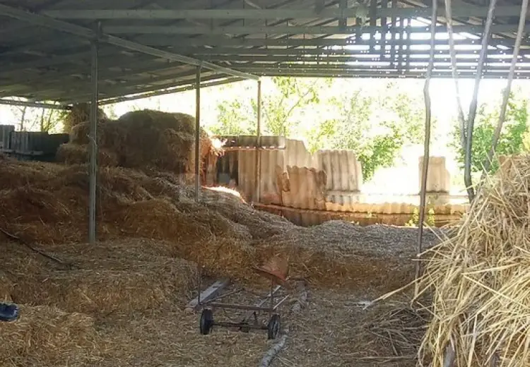 99 sot Torpaq Satılır, Şəki