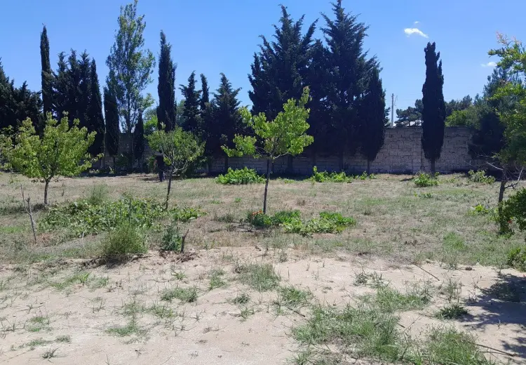 3.7 sot Torpaq Satılır, Goradil, Abşeron