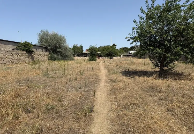 24 sot Torpaq Satılır, Buzovna, Xəzər, Bakı