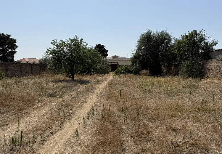 24 sot Torpaq Satılır, Buzovna, Xəzər, Bakı