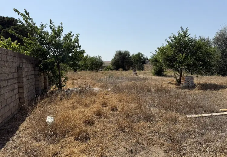 24 sot Torpaq Satılır, Buzovna, Xəzər, Bakı