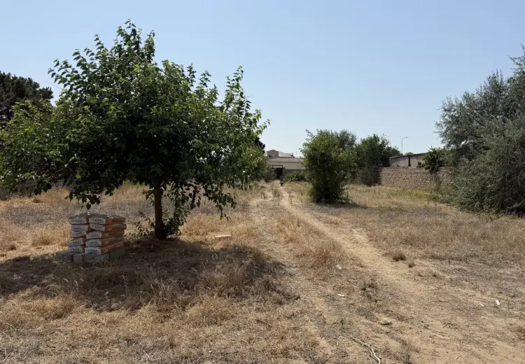 24 sot Torpaq Satılır, Buzovna, Xəzər, Bakı