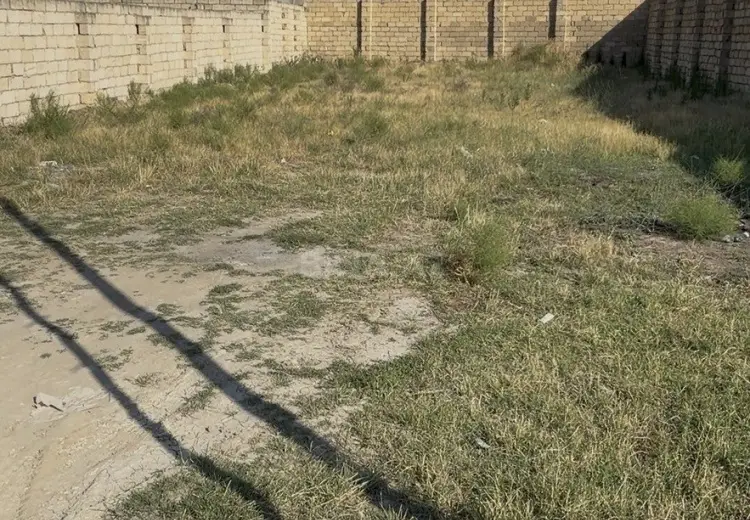 5.2 sot Torpaq Satılır, Saray, Abşeron