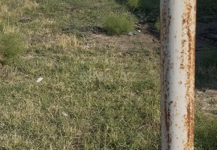 5.2 sot Torpaq Satılır, Saray, Abşeron