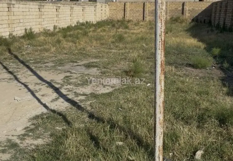 5.2 sot Torpaq Satılır, Saray, Abşeron
