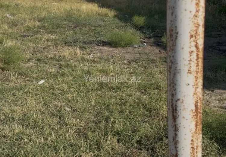 5.2 sot Torpaq Satılır, Saray, Abşeron