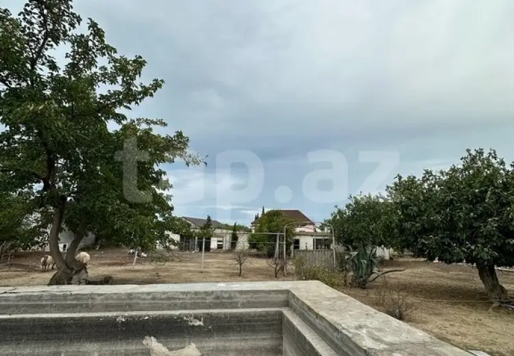 0 m² Obyekt / Ofis , Xəzər, Bakı