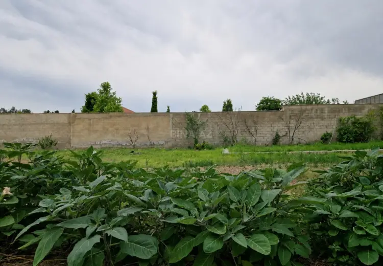 6 sot Torpaq Satılır, Bilgəh qəs., Sabunçu, Bakı