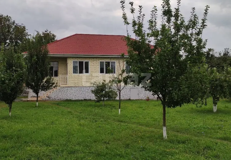 4 otaqlı mənzil , Oğuz