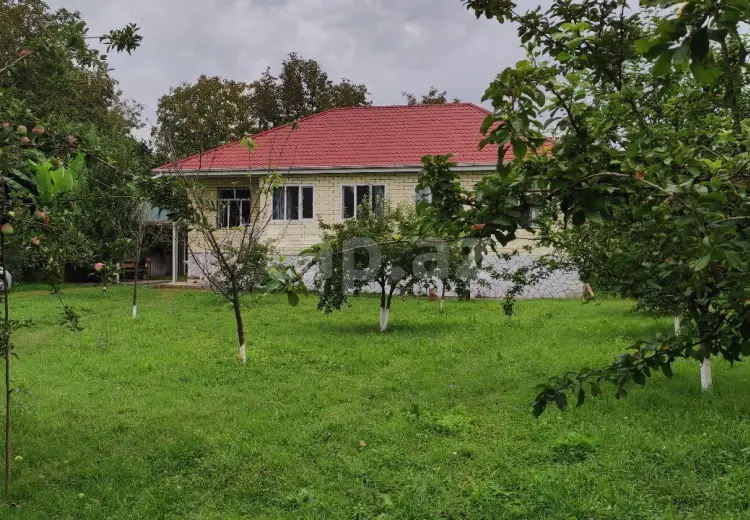 4 otaqlı mənzil , Oğuz