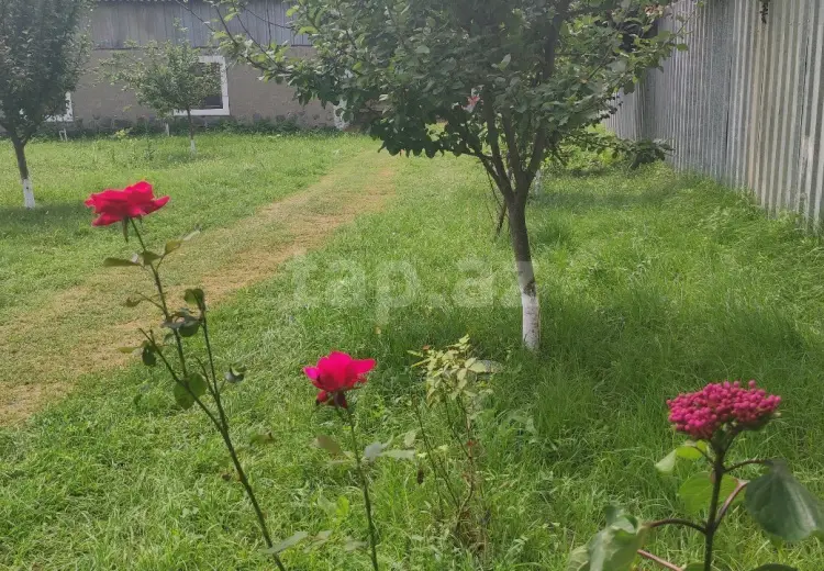 4 otaqlı mənzil , Oğuz