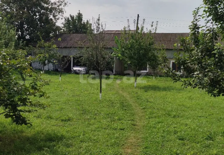 4 otaqlı mənzil , Oğuz
