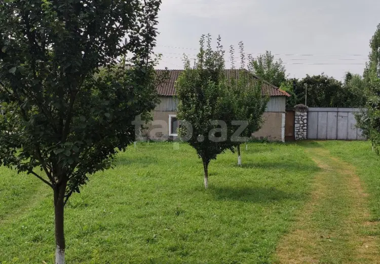 4 otaqlı mənzil , Oğuz