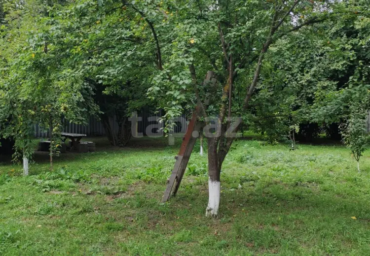 4 otaqlı mənzil , Oğuz