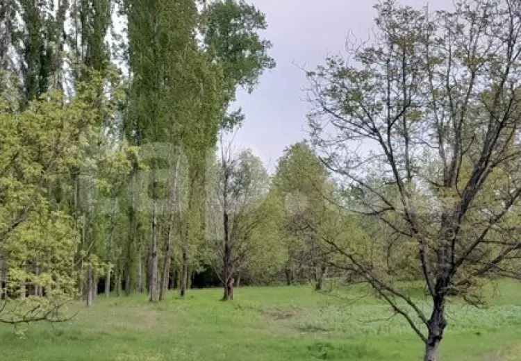 0 m² Obyekt / Ofis , Qəbələ