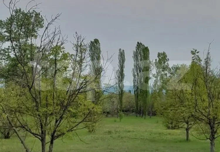 0 m² Obyekt / Ofis , Qəbələ