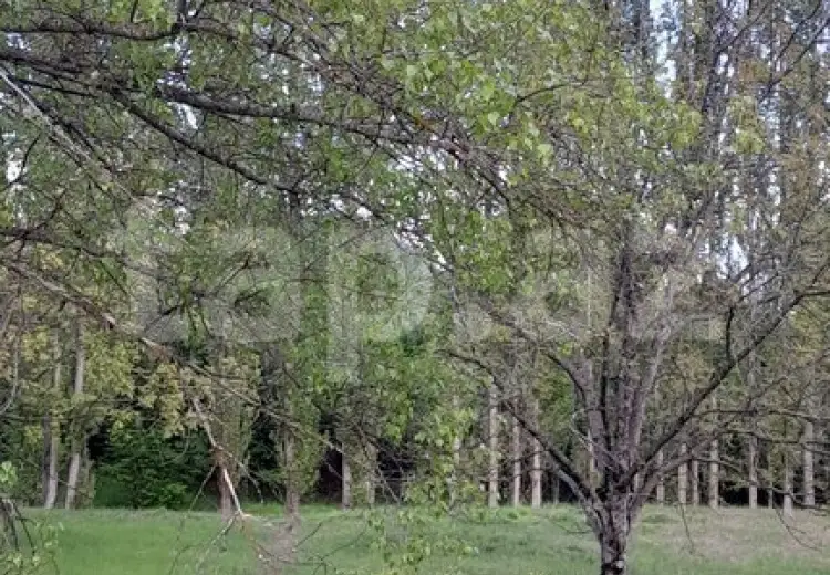 0 m² Obyekt / Ofis , Qəbələ