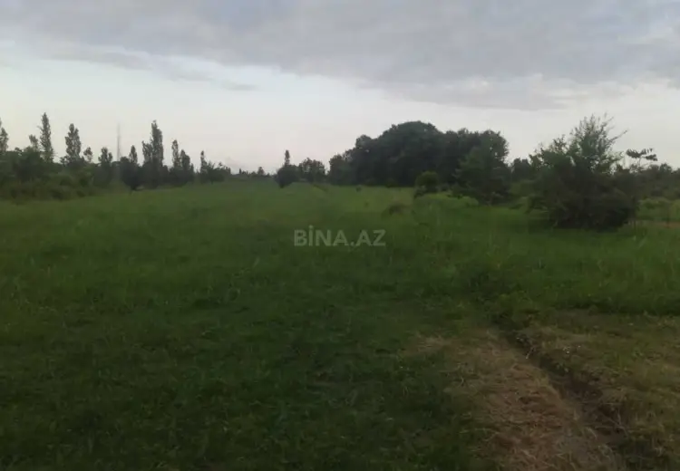 204 sot Torpaq Satılır, Xaçmaz