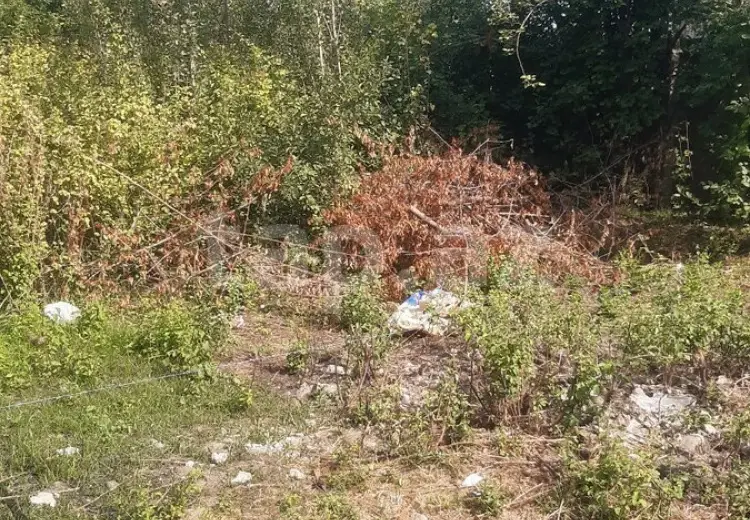 0 m² Obyekt / Ofis , Lənkəran