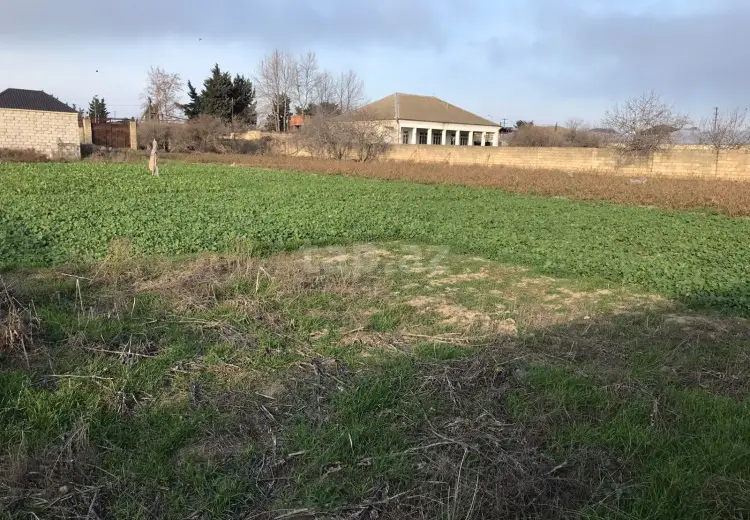 0 m² Obyekt / Ofis , Bilgəh qəs., Sabunçu, Bakı