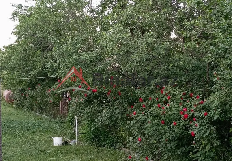 15 sot Torpaq Satılır, Şabran