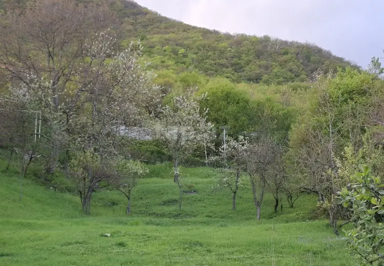 0 m² Obyekt / Ofis , Şamaxı