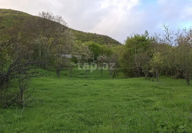 0 m² Obyekt / Ofis , Şamaxı
