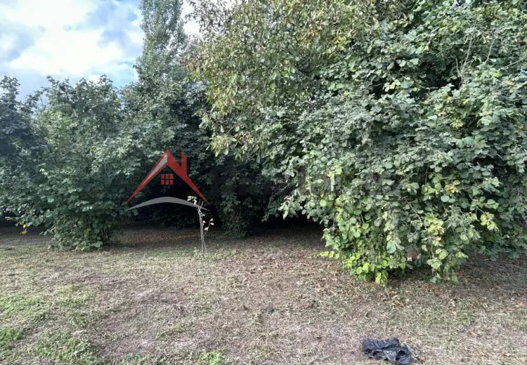 12 sot Torpaq Satılır, İsmayıllı