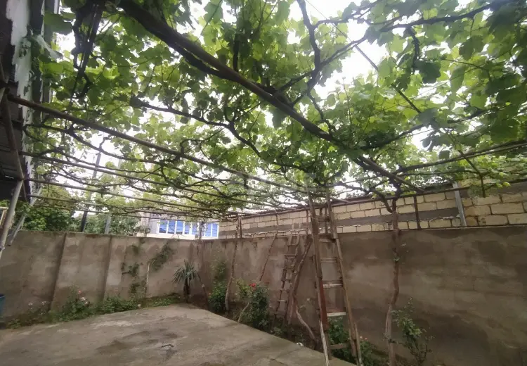4 otaqlı mənzil , Şirvan