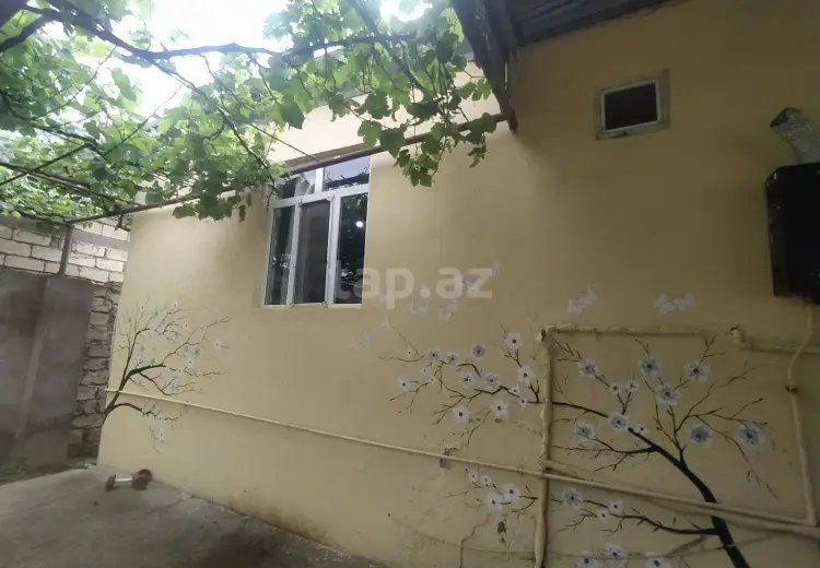 4 otaqlı mənzil , Şirvan