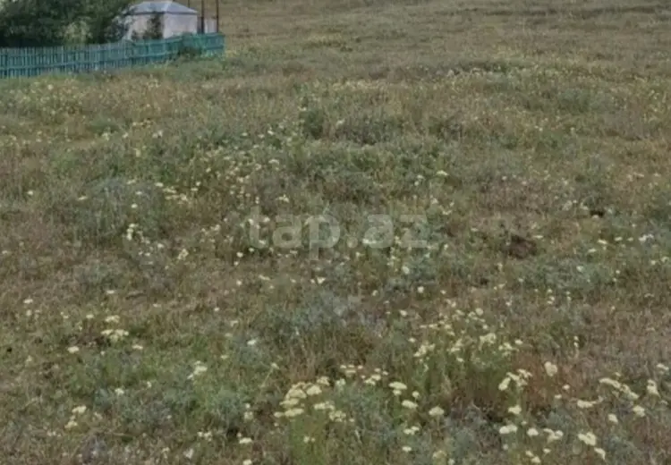 0 m² Obyekt / Ofis , Şamaxı