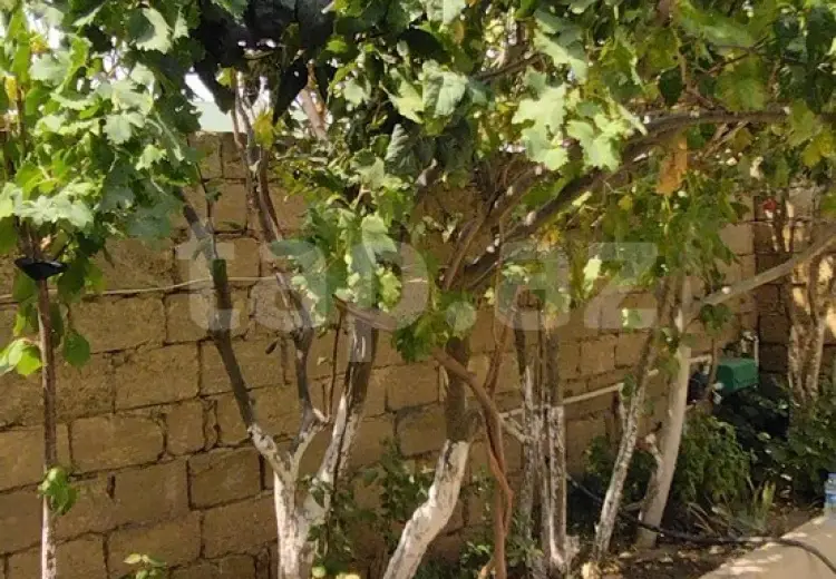 3 otaqlı mənzil , Bakı