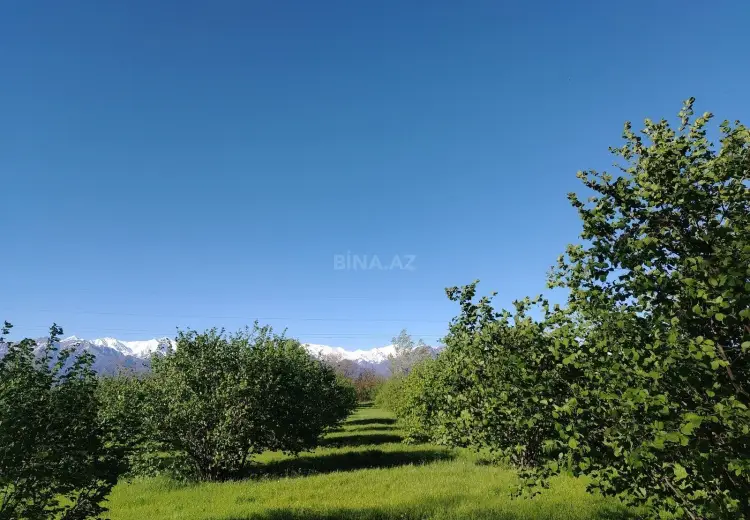 120 sot Torpaq Satılır, Qəbələ