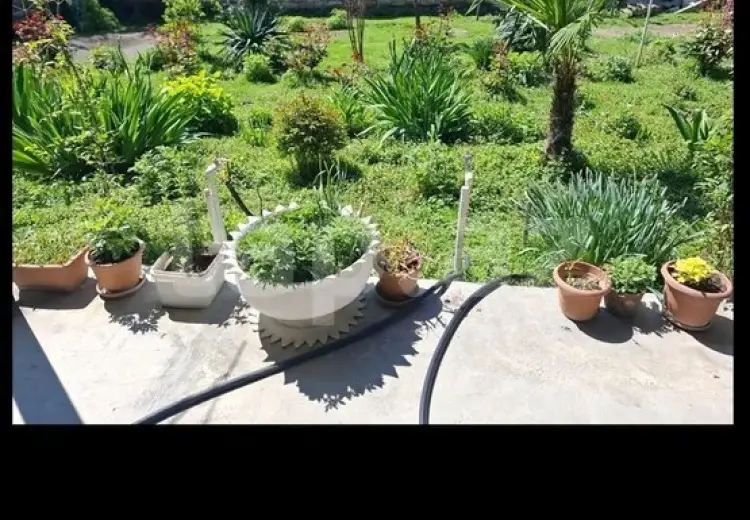 5 otaqlı mənzil , Şəki