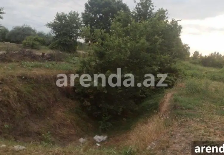 204 sot Torpaq Satılır, Xaçmaz