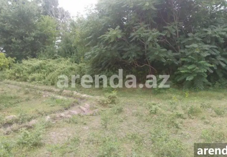 204 sot Torpaq Satılır, Xaçmaz