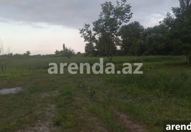 204 sot Torpaq Satılır, Xaçmaz