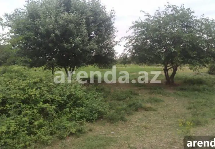 204 sot Torpaq Satılır, Xaçmaz