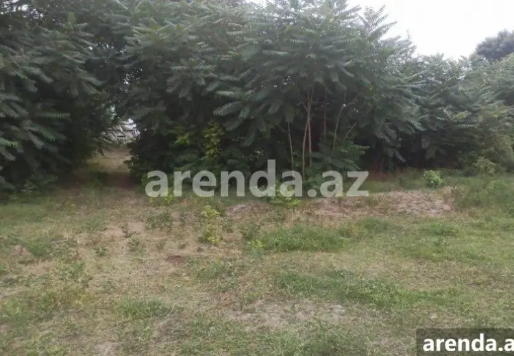 204 sot Torpaq Satılır, Xaçmaz