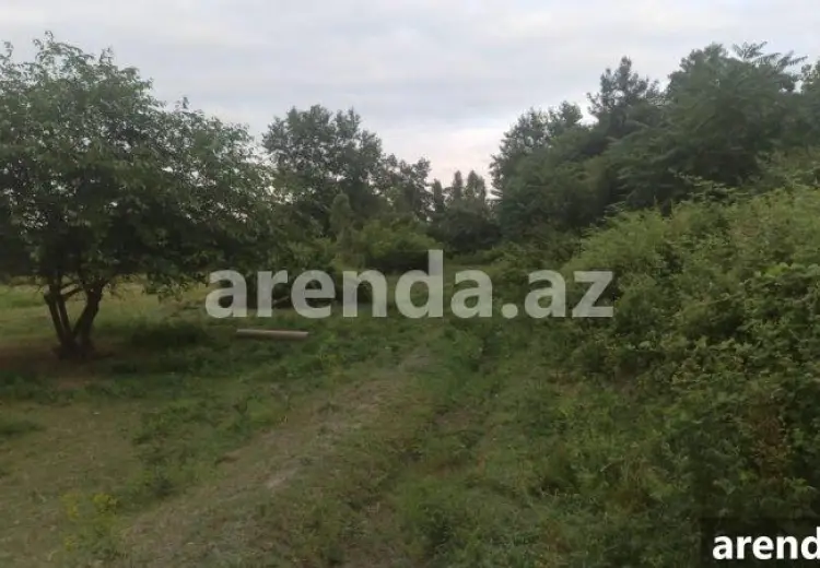 204 sot Torpaq Satılır, Xaçmaz
