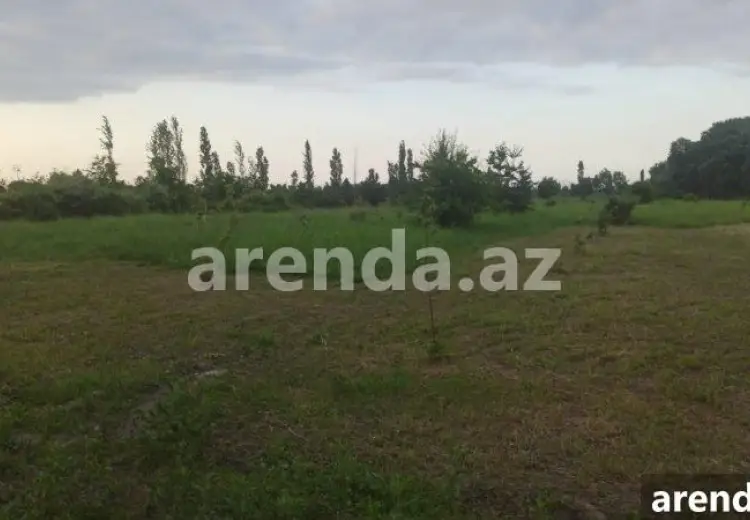 204 sot Torpaq Satılır, Xaçmaz