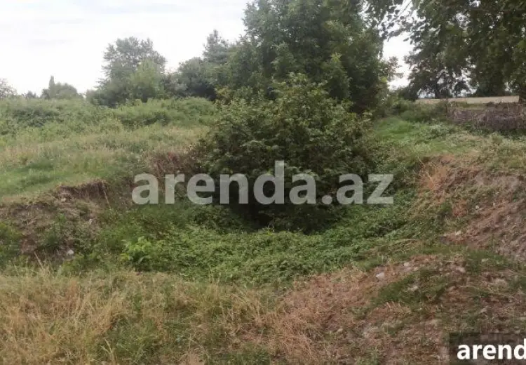 204 sot Torpaq Satılır, Xaçmaz
