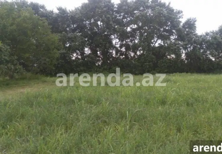 204 sot Torpaq Satılır, Xaçmaz